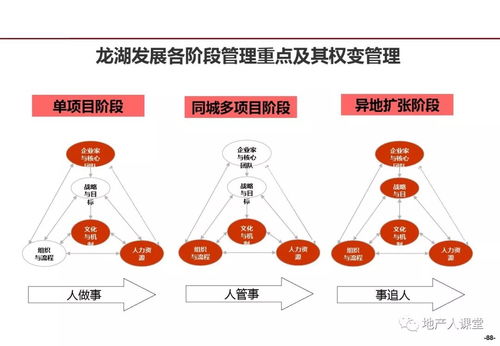 龍湖企業(yè)管理與運(yùn)營(yíng)精細(xì)化管理探析